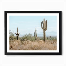 Arizona Desert Scenery Art Print