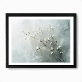 White Flowers On A White Background Art Print