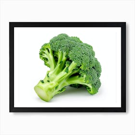 Broccoli 1 Art Print