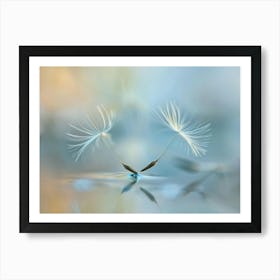 Dandelion 23 Art Print