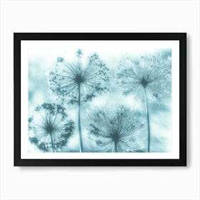 Teal white alliums Art Print