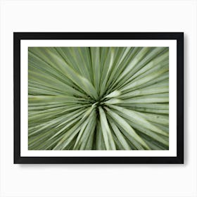 The Heart Of A Green Palm Tree // Nature Photography Art Print