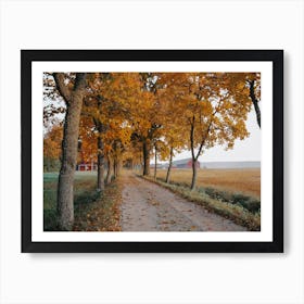 Farm Driveway In Fall Art Print