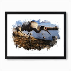 Reifel Migratory Bird Sanctuary, British Columbia, Canada Art Print