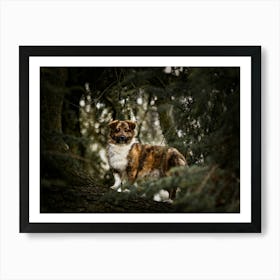 Puppy in between the branches - Beervelde Belgium dog photo print - moody animal photography art Art Print