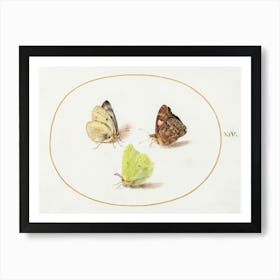 Common Brimstone, Red Admiral, And White Butterflies (1575–1580), Joris Hoefnagel Art Print