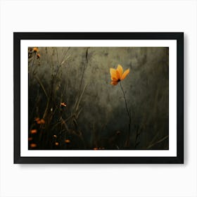 Single Flower In A Field Art Print