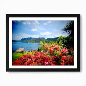 Plockton Scotland Pretty Pink Flowers Ocean Sky Art Print