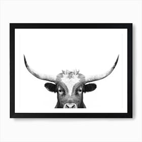 Peeking Longhorn Art Print