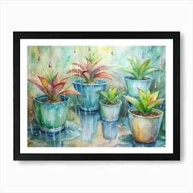 Potted Plants In Rain Art Print