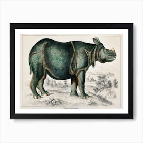 Rhinoceros, Oliver Goldsmith Art Print