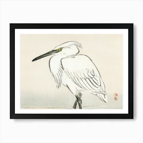 Egret Art Print