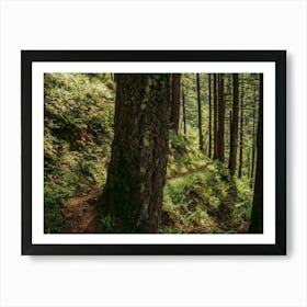 Side Trail II Art Print