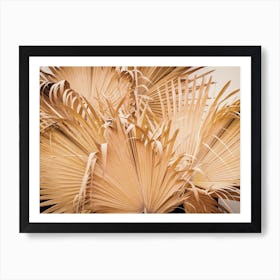 Dried Palms Art Print