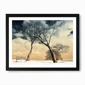 Winter Warrior Trees Art Print