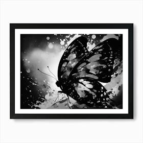 Black And White Butterfly 11 Art Print