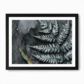 Fern Leaf 1 Art Print