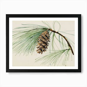 Pine Cone Art Print