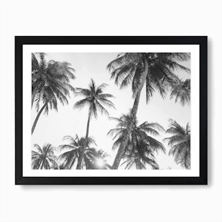 Palm Trees- Black and White Art Print
