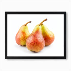 Three Pears On A White Background 1 Art Print