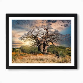 Baobab Tree Art Print