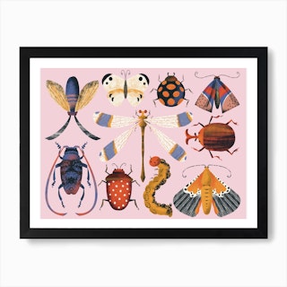 Insects Beatles Butterflies Moss Dragonfly On Pink Art Print