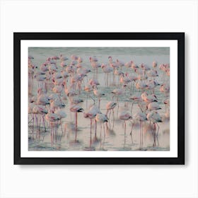 Flamingos at the Ocean Namibia Art Print