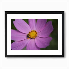 Bee Flower Art Print