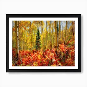 Crested Butte's Autumn Wonderland Art Print