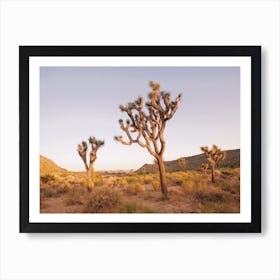 Joshua Tree Sunset Art Print