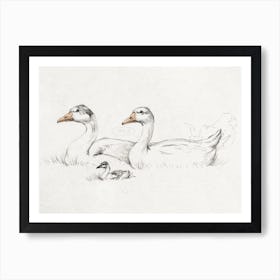 Two Geese With A Young, Jean Bernard Art Print