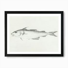 Fish 2, Jean Bernard Art Print