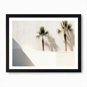 Shadows From Palm Tress On An White Wall Summer Photography Art Print