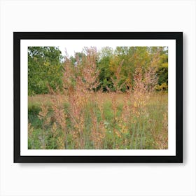 Tall Grasses 1 Art Print