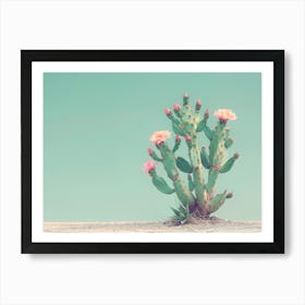 California Dreaming - Cactus Flowers II Art Print