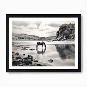 A Horse Oil Painting In Boulders Beach, South Africa, Landscape 2 Art Print
