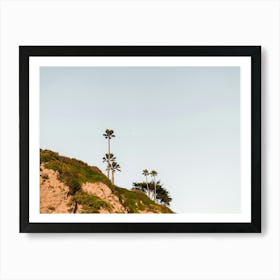 Palm Trees and Cliffs in California Art Print