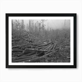 Untitled Photo, Possibly Related To Logs, Long Bell Lumber Company, Cowlitz County, Washington, In The Yard Art Print