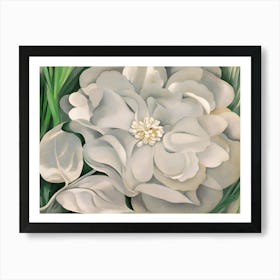 Georgia OKeeffe - The White Calico Flower 1 Art Print