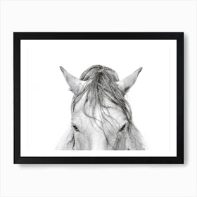 Black and White Horse's Head Art Print