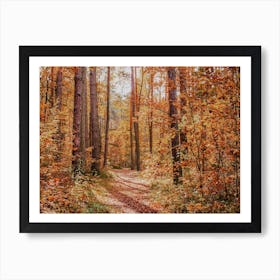 Fall Color Forest Art Print