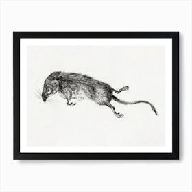 Death Mouse, Jean Bernard Art Print