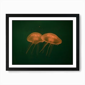 At the aquarium #5 Art Print