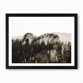 Forest Surrounding Hill Art Print