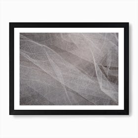 Ligurian Net Art Print