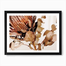 Protea Flower Arrangement Art Print