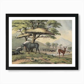 Vintage Kolb 10 Tafel 38 Gnu Art Print