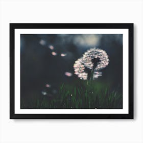 Dandelion - Make a Wish Art Print