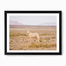 Palomino Wild Horse Art Print