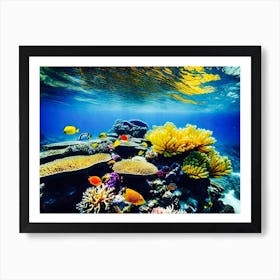 Coral Reef 2 Art Print